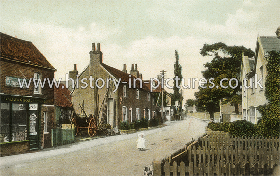 High Street, Hatfield Peverel, Essex. c.1905